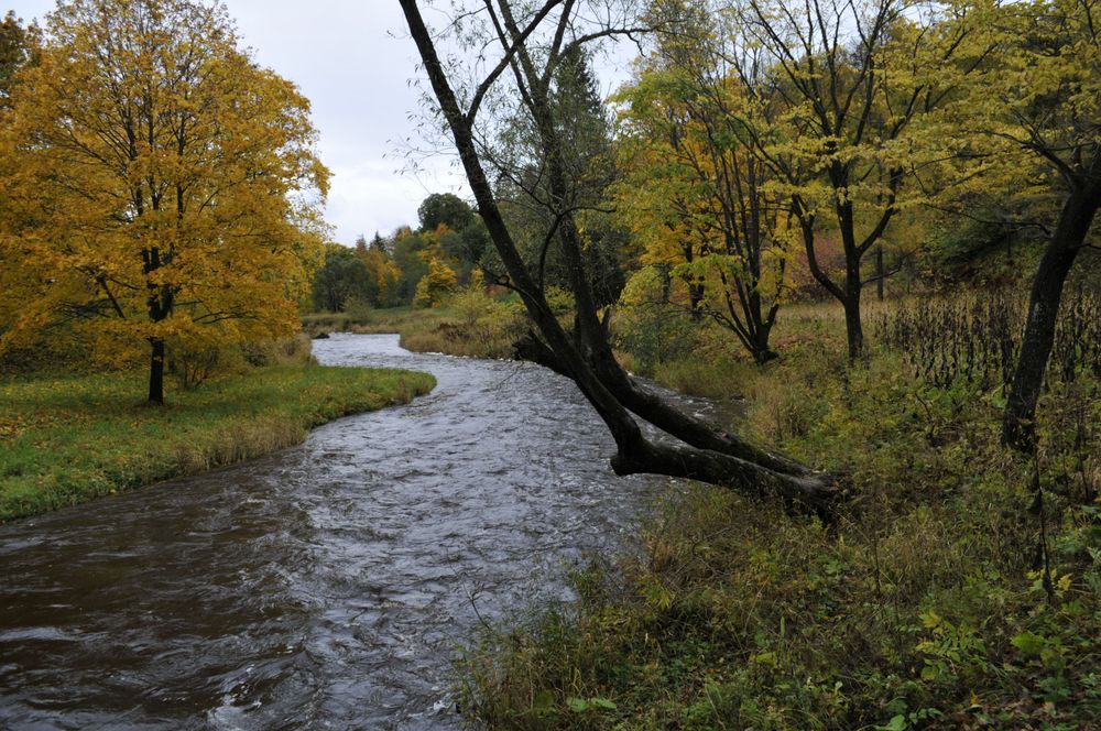 Photograph by Ivan Morozov