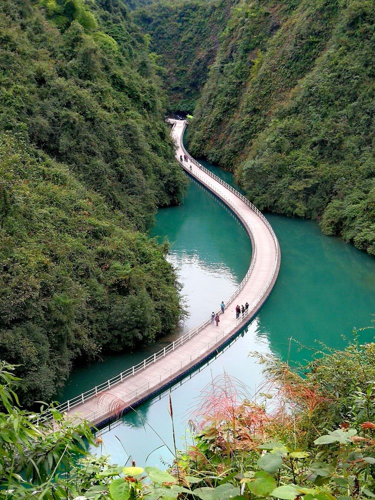 Фотография автора Ivanka Iantcheva