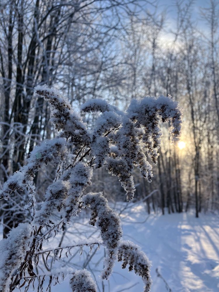 Photograph by Анастасия Позднякова