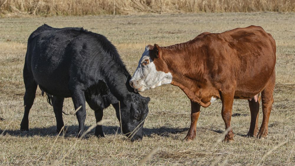 Photograph by Гришанов Пётр