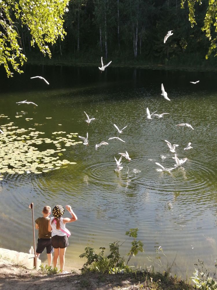 Photograph by Ольга Подопригора