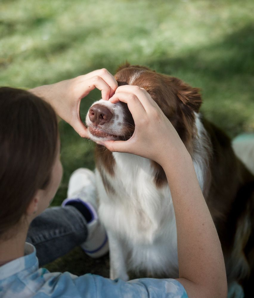 Photograph by Варя Тихонова