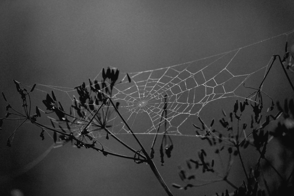 Photograph by Полина Зайцева
