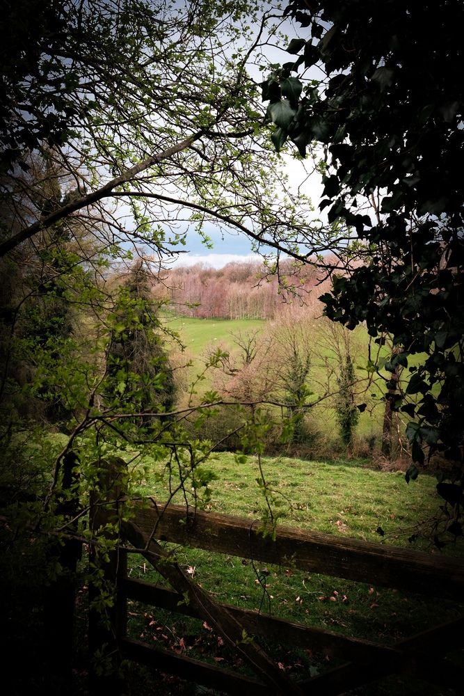 Photograph by Anne-Marie Cove