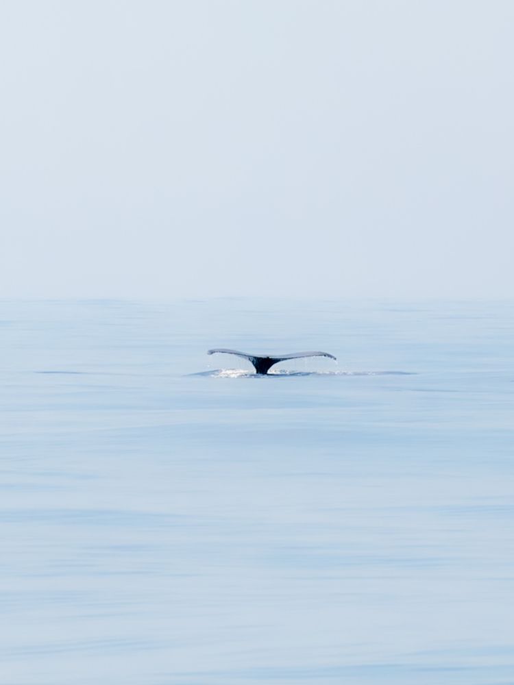 Photograph by nishijima takayuki
