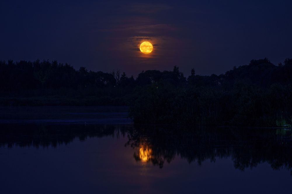 Photograph by Евгения Булычёва