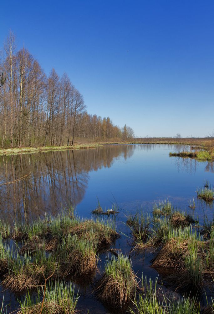 Photograph by Наталья Иванова