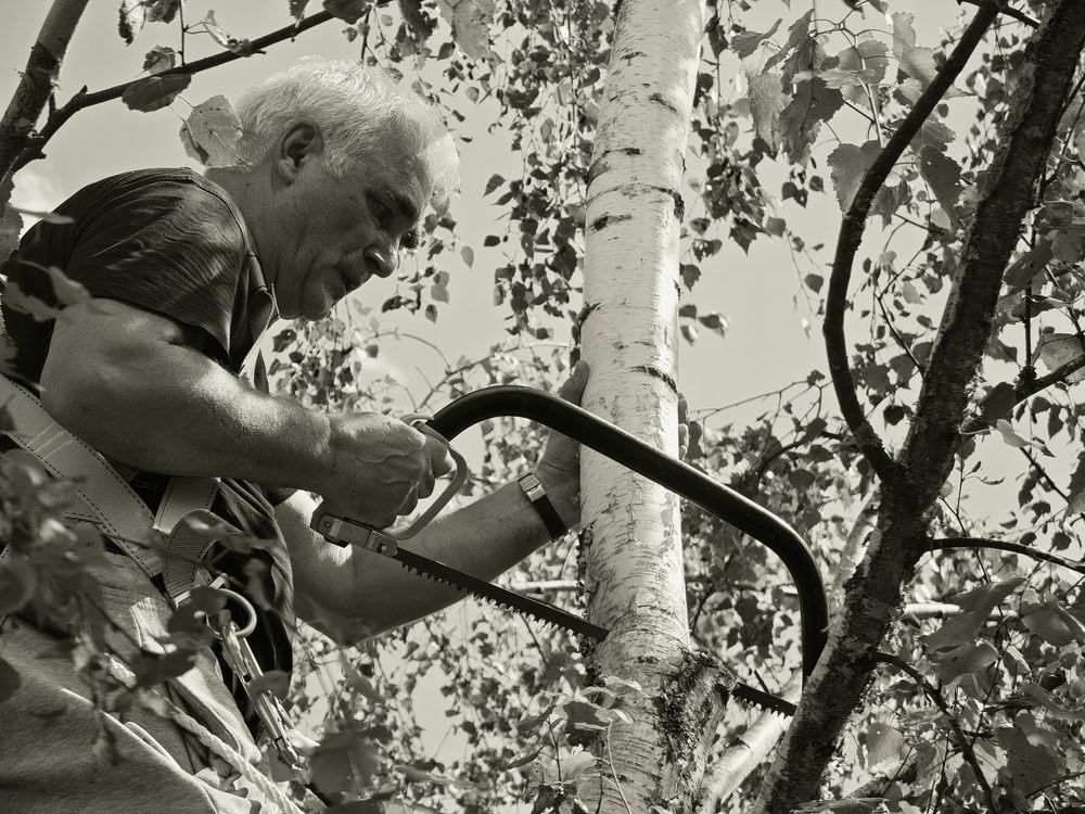 Photograph by Александр Градобоев