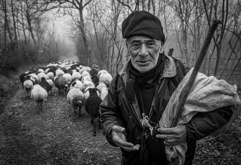 Фотография автора Mostafa Mohammad Beigi