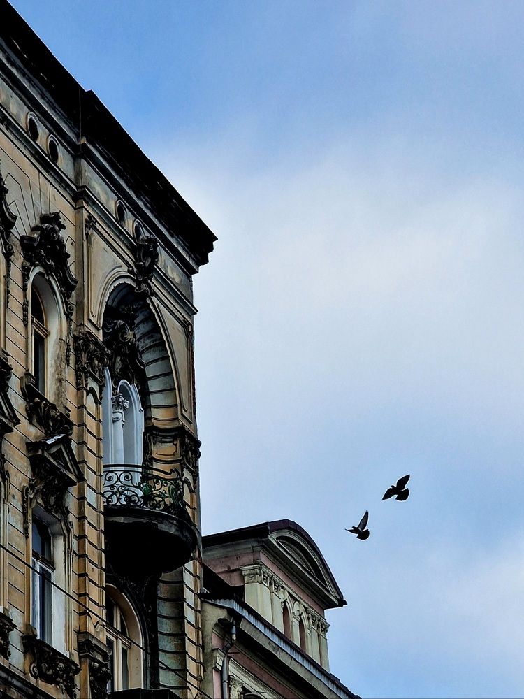 Photograph by Maryna Pytliak