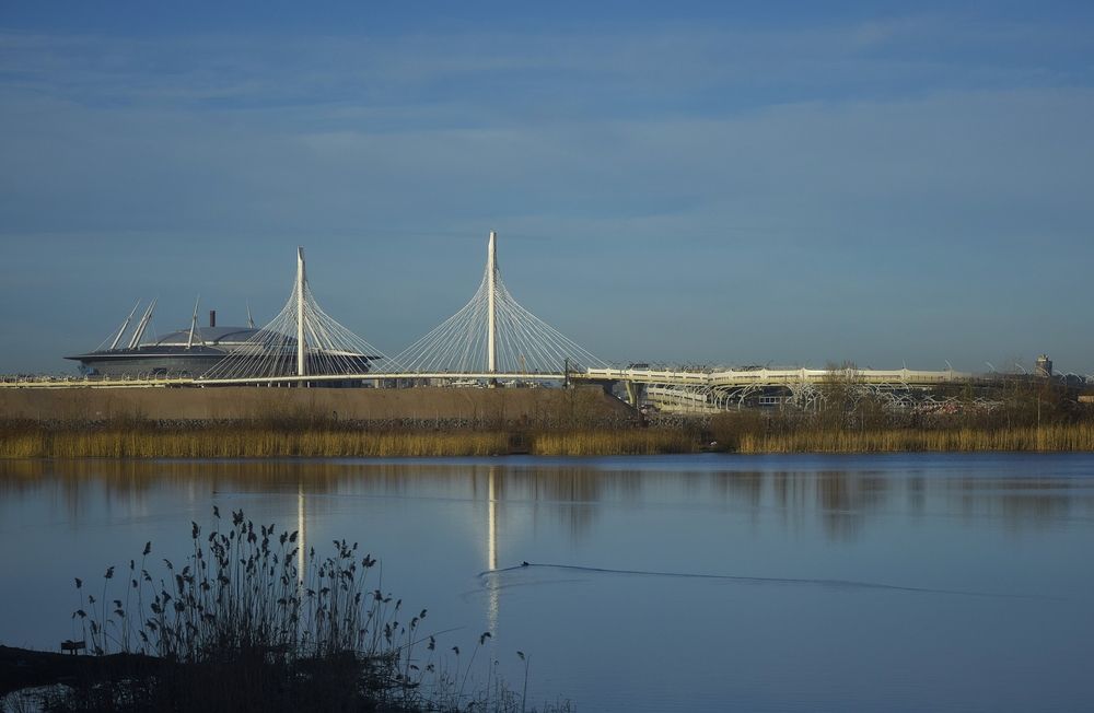 Фотография автора Альбина Хвастунова