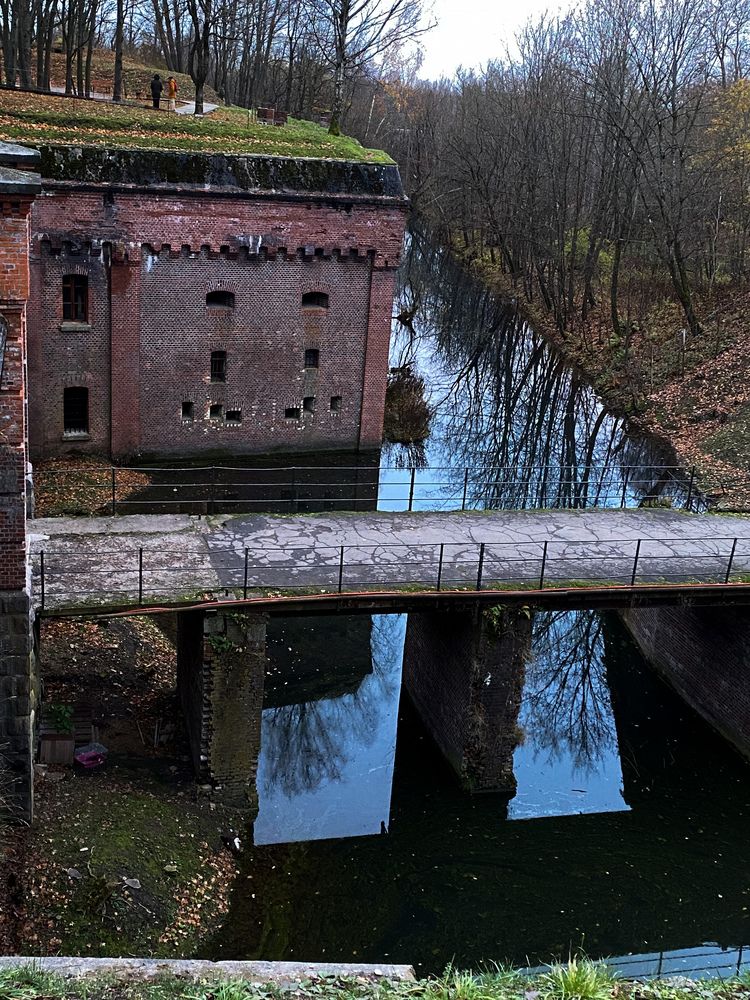 Фотография автора Вера Артеменко