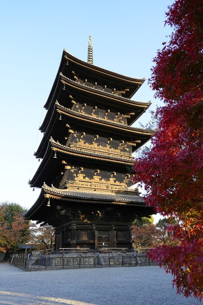 Photograph by Igor Pavel