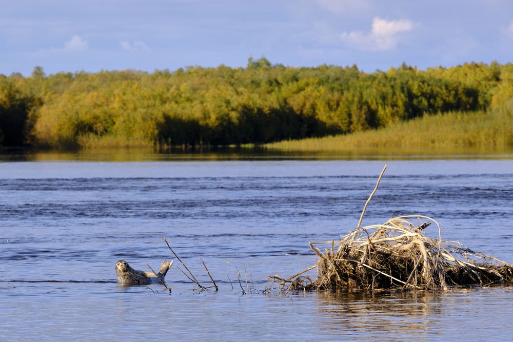 Photograph by Хазан Сергей