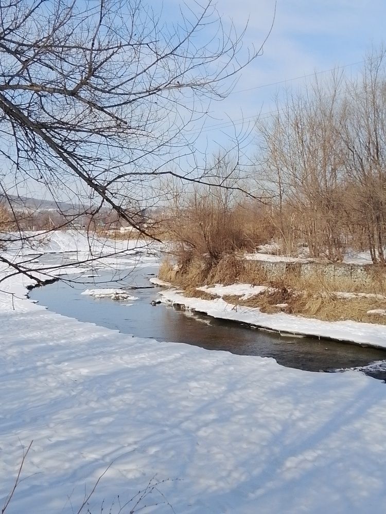 Весеннее пробуждение.