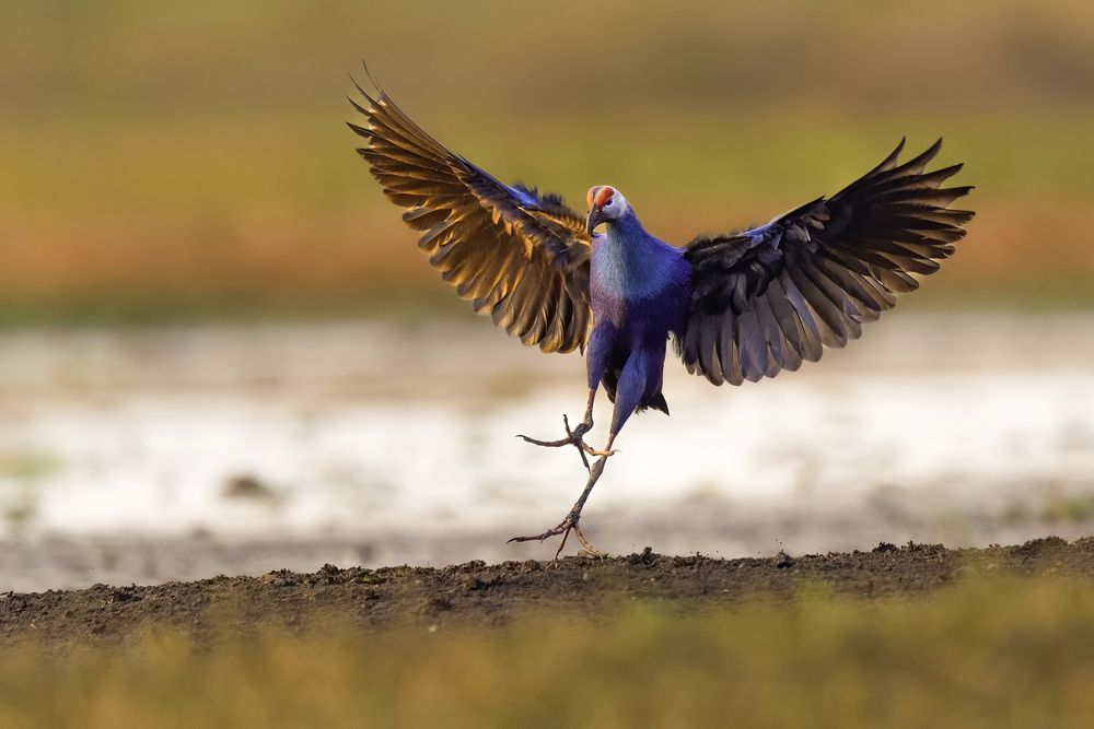 Photograph by Le Khac Quyen