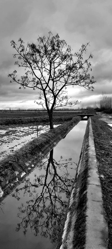 Photograph by Sam Esfahani