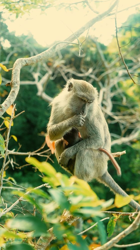 Fiercely Loved to the Edge