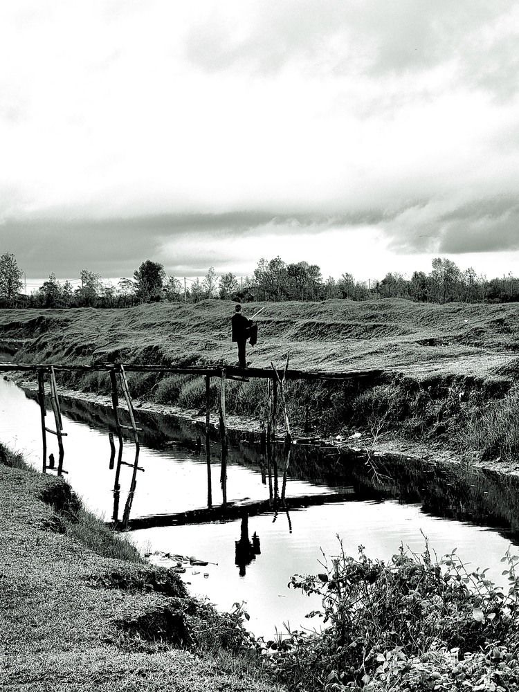 Photograph by Sam Esfahani