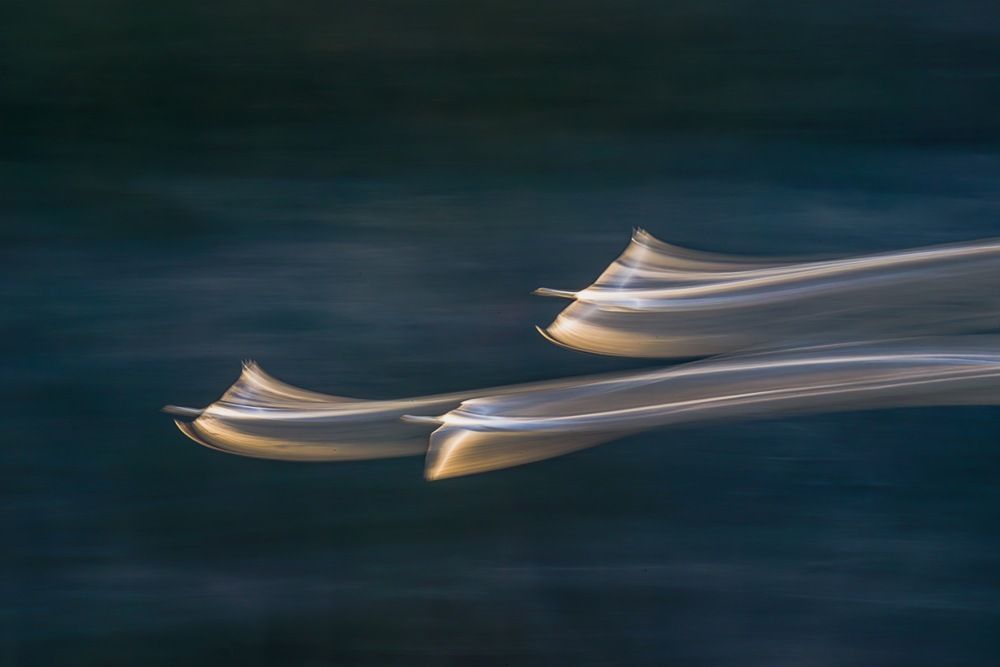 Gliding