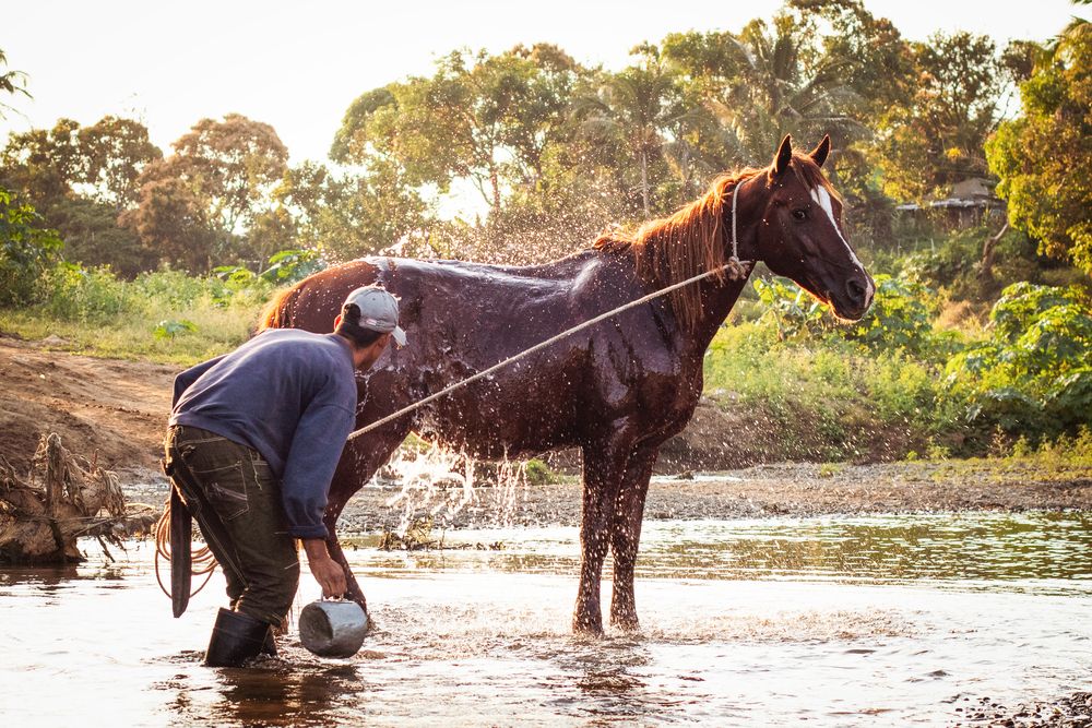 Photograph by Javier Calvo