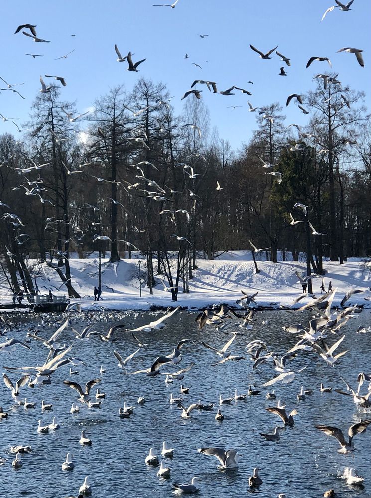 Photograph by Галина Пименова