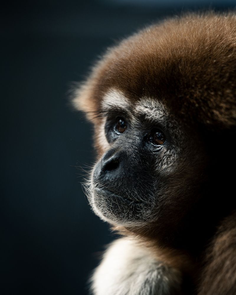 Photograph by YAMAGRAPH.