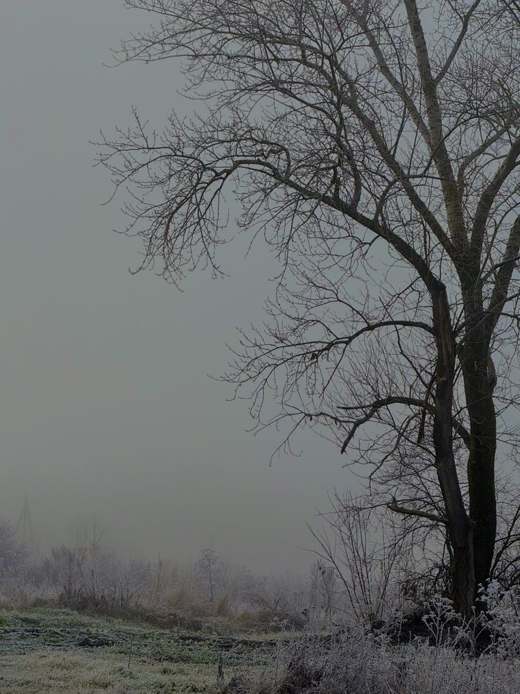 Photograph by Лилия Аухадшина
