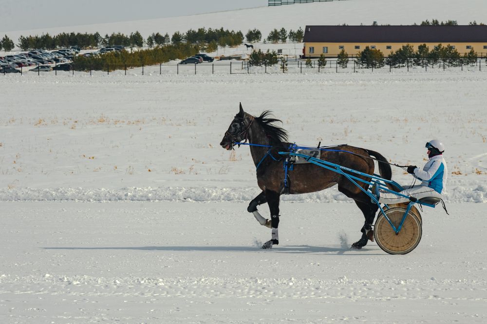 Photograph by Юрий Кухаришин