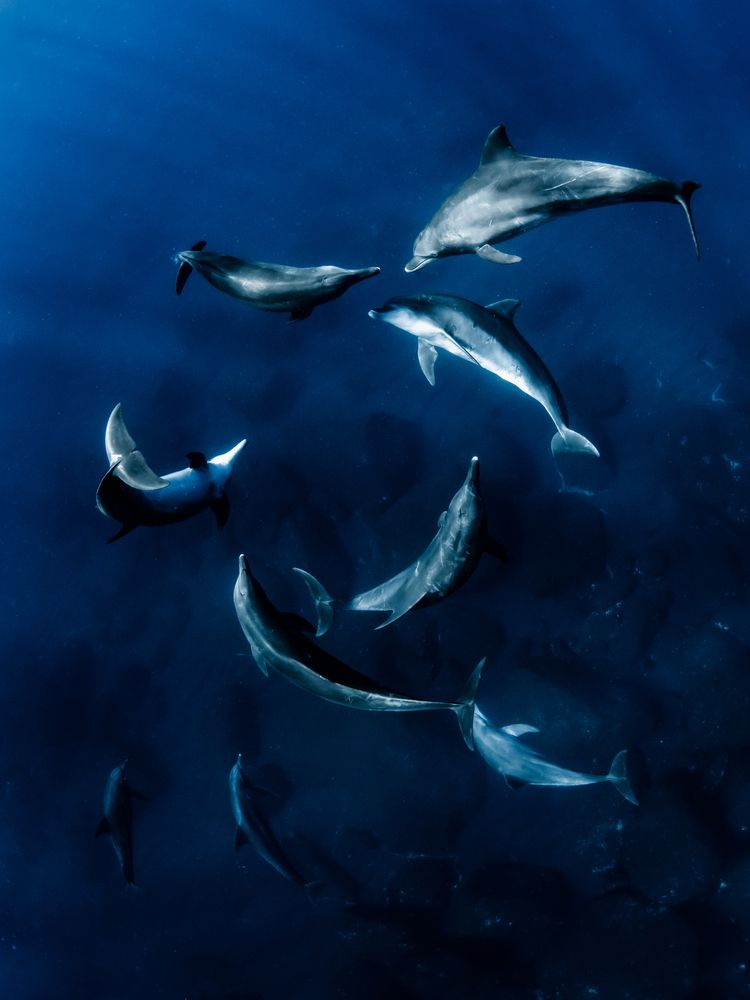 Фотография автора nishijima takayuki