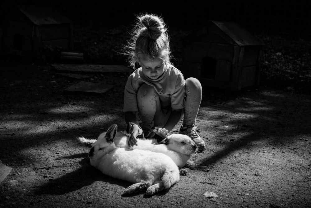 Фотография автора Alexander Shilov