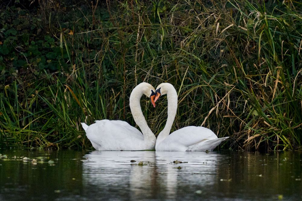 Photograph by Fabian Stepien