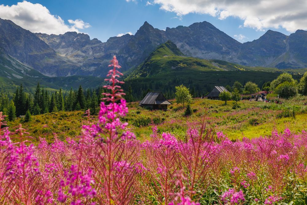 Photograph by Fabian Stepien