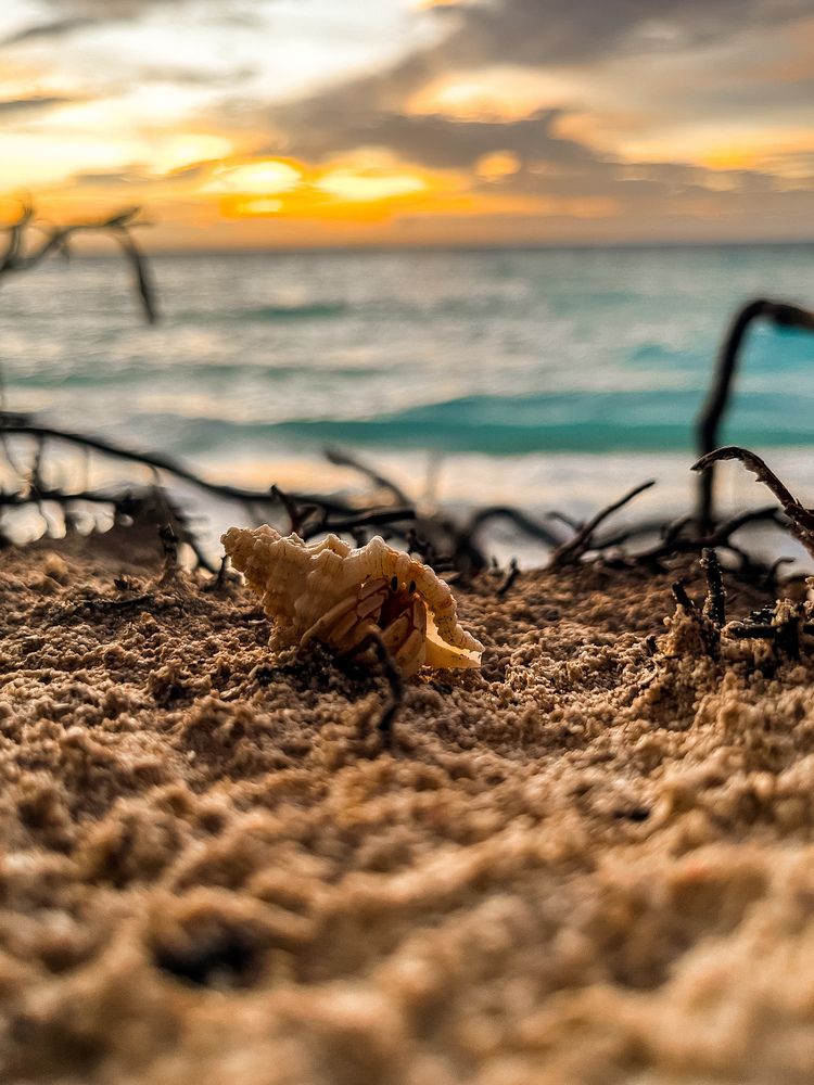 Photograph by Илья Ушак