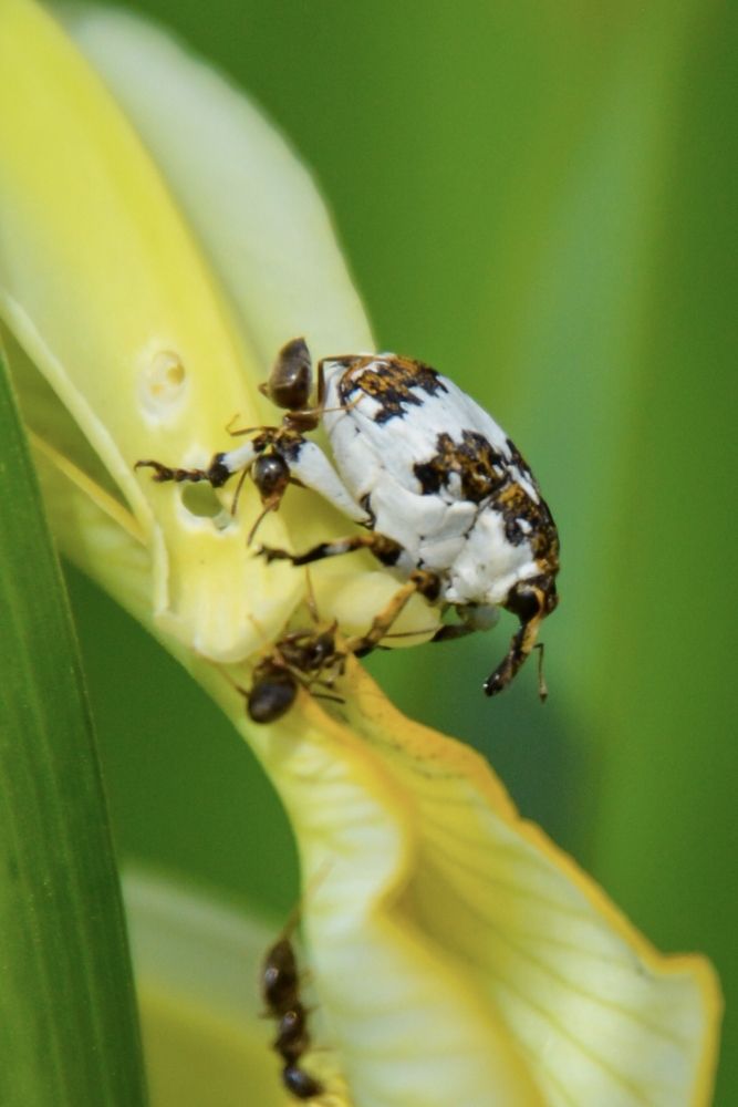 Фотография автора Ольга Андронова