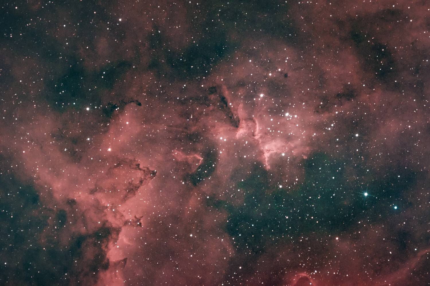 Фотография #13296572