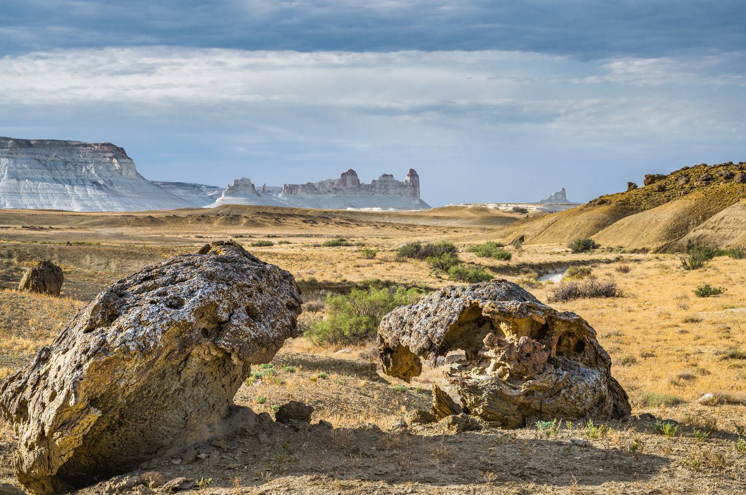 Фотография #13296600