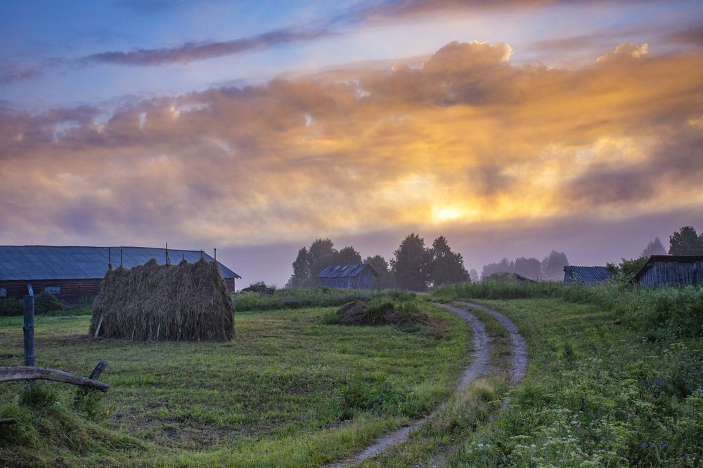 Photograph by Елена Васильева
