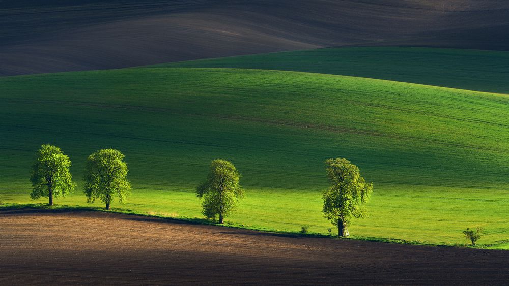 Photograph by Юрий Шимаковский