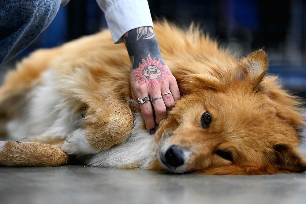 Photograph by Сергей Вальков