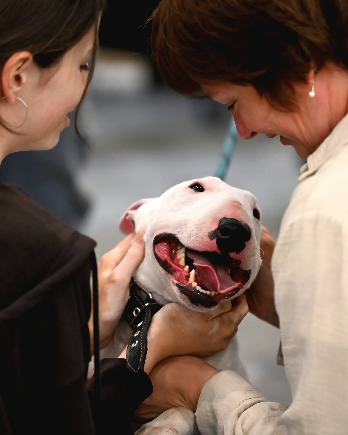 Фотография #13296646