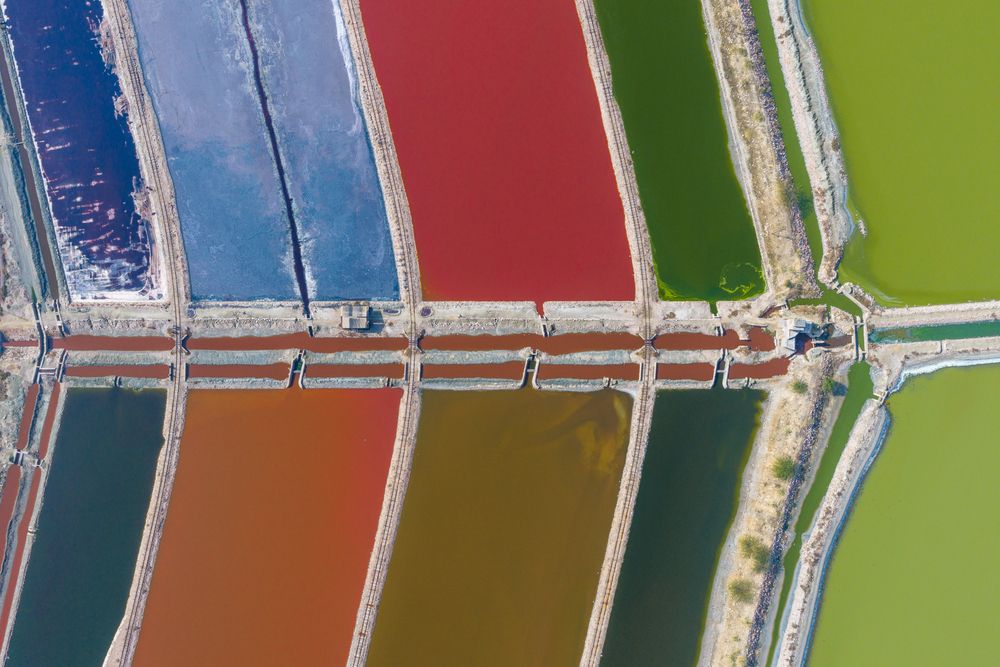 The Palette of the Earth