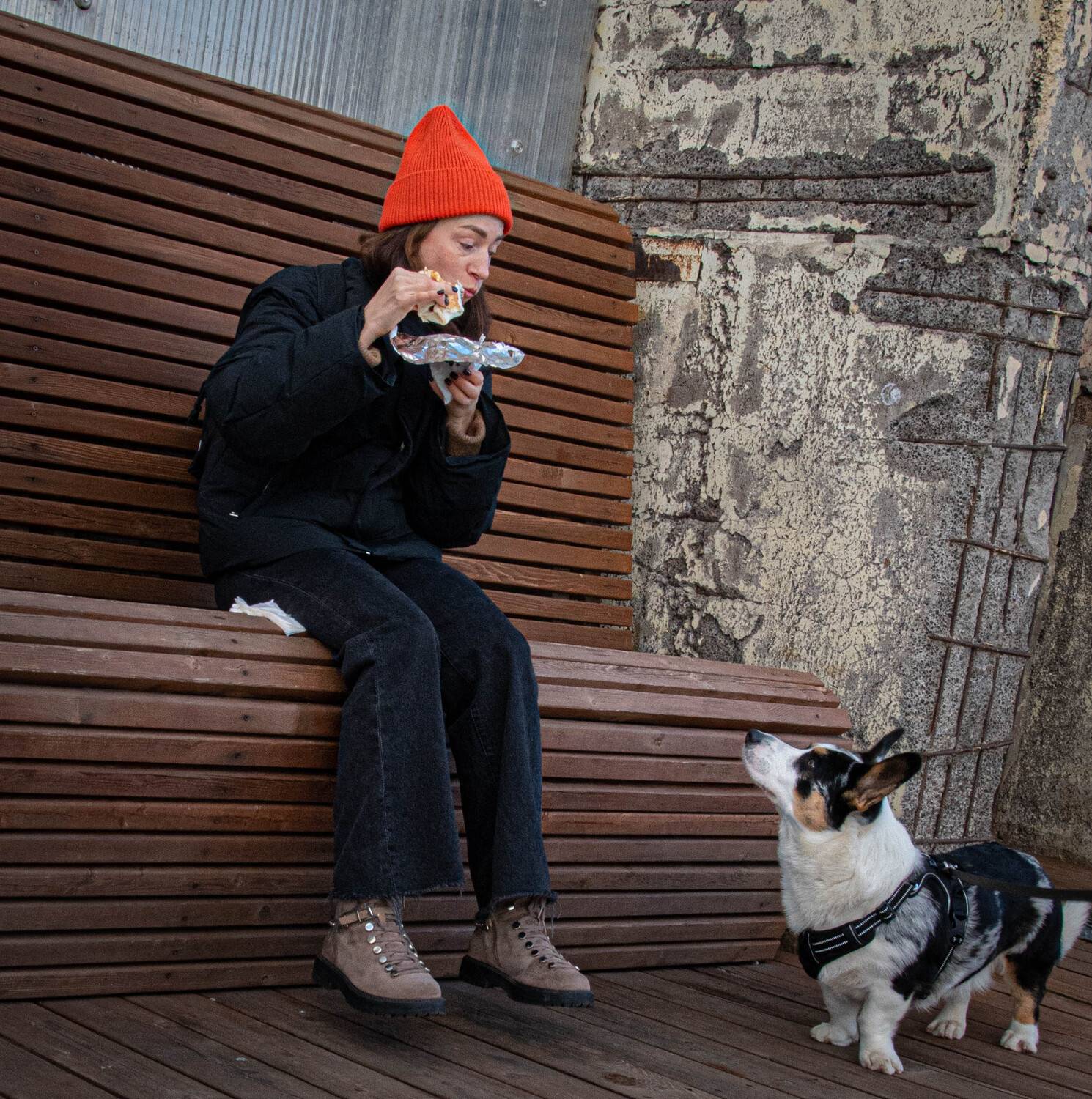 Фотография #13296683