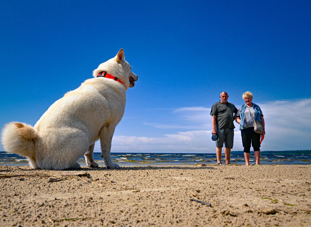 Photograph by Сергей Вальков