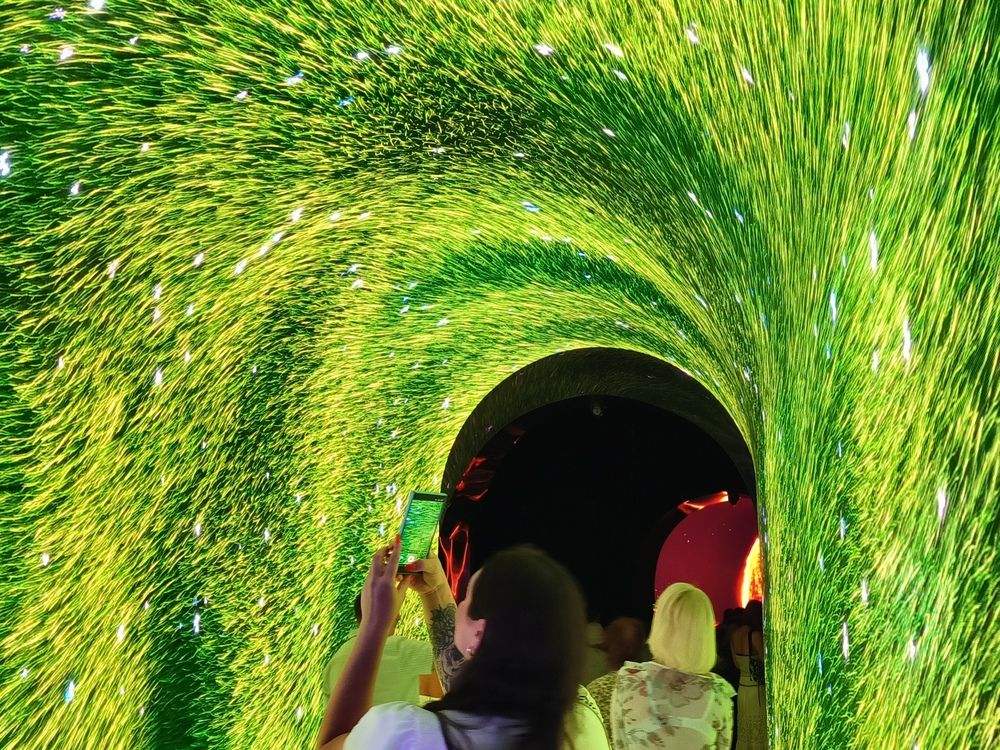 В лабиринте кроличьей норы