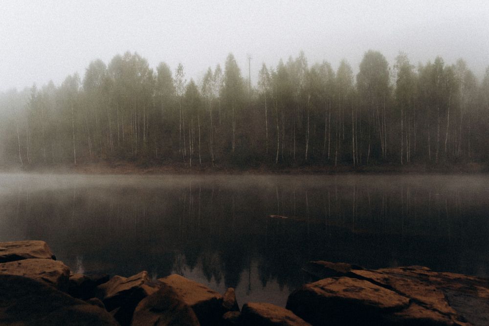 Photograph by Svetlana Reshetnikova