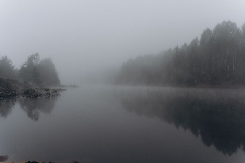 Photograph by Svetlana Reshetnikova