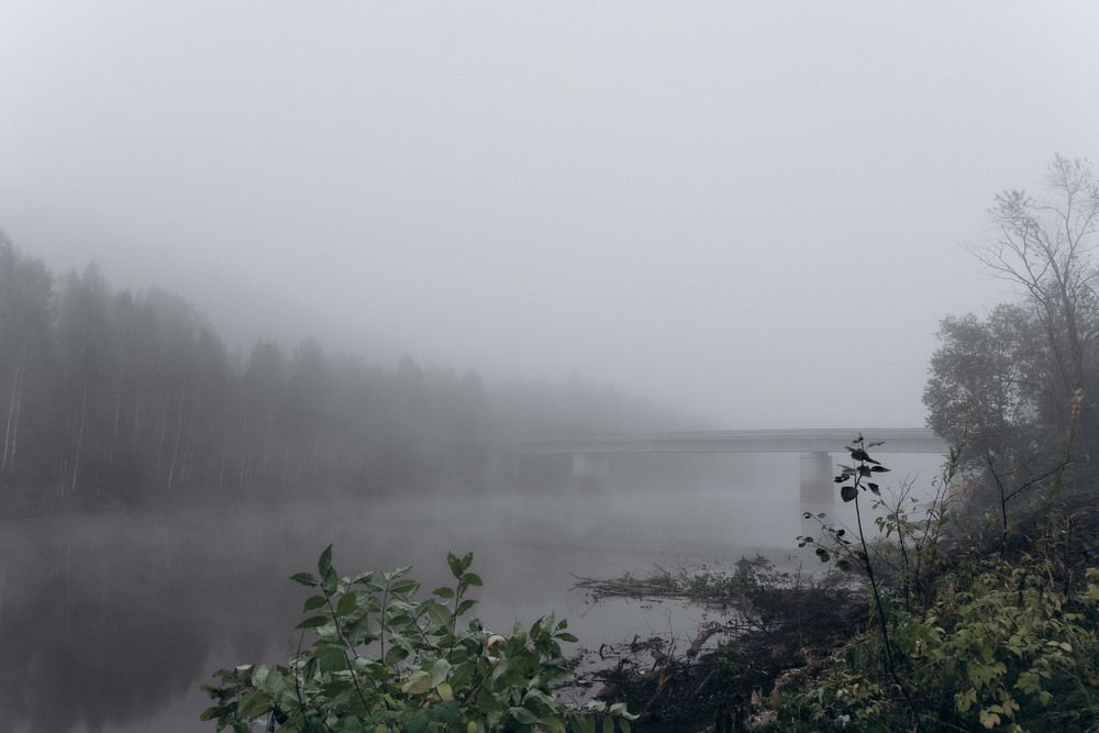 Photograph by Svetlana Reshetnikova