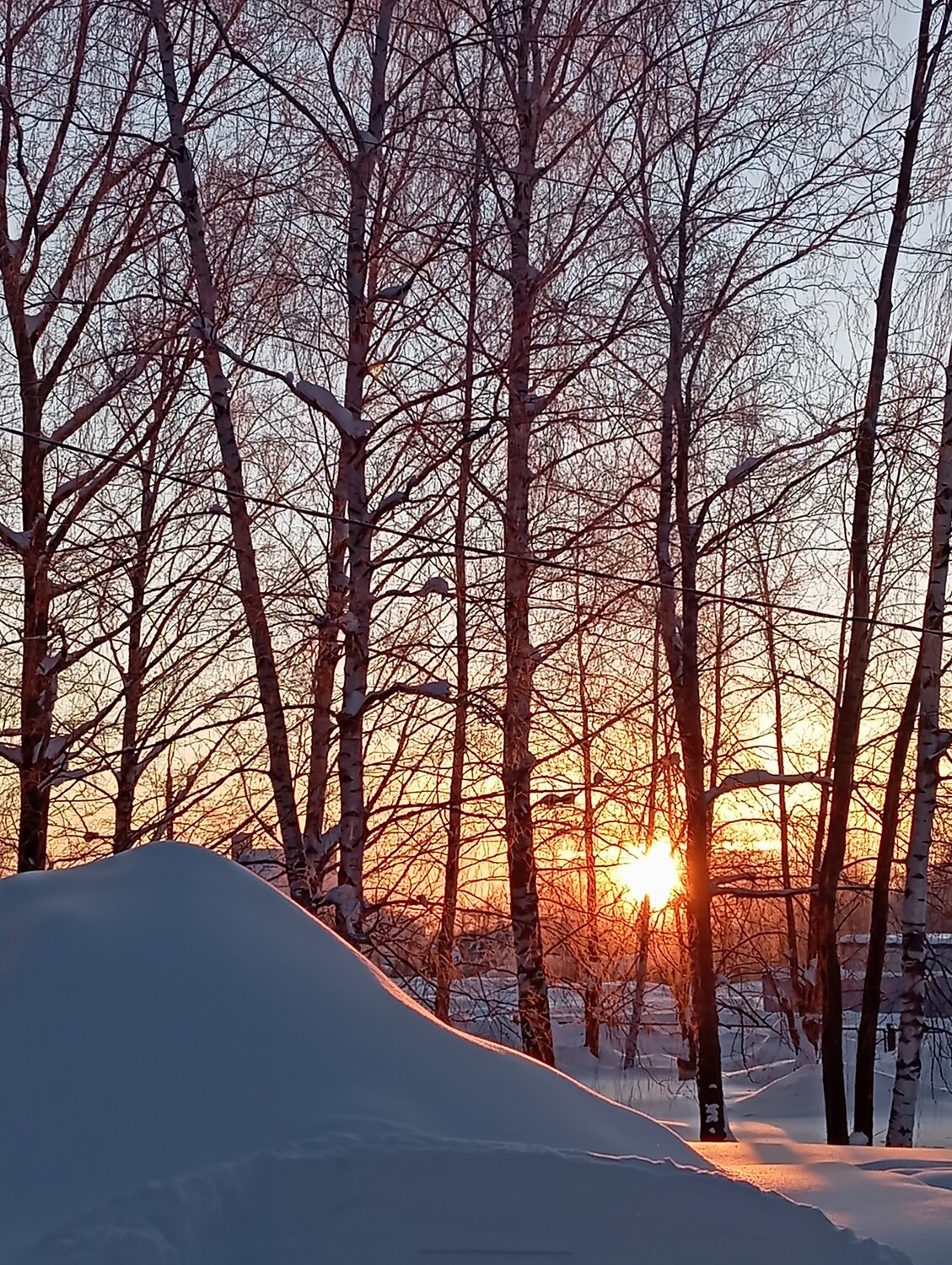 Photo #13296857