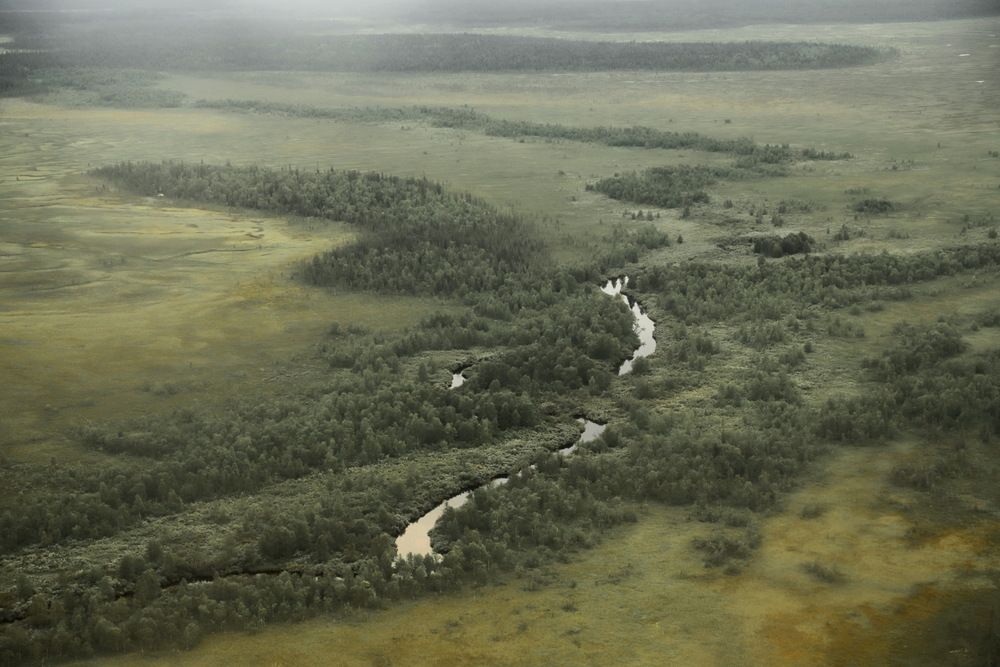 Photograph by Лада Денисова